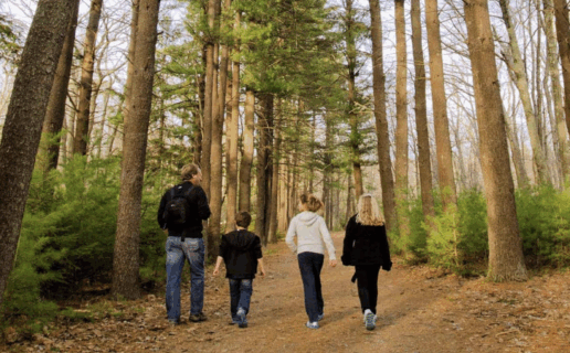 A family walking on a walking trail in the woods of the Poconos